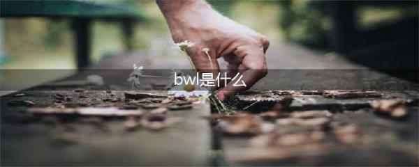 《魔兽怀旧服》BWL是什么 BWL介绍(bwl是什么)