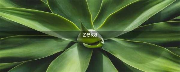 《LOL》Zeka是谁 Zeka选手个人资料一览(zeka)