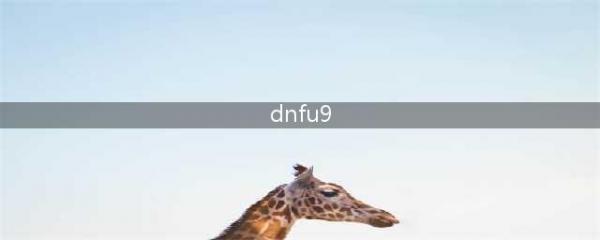 《DNF》9月口令兑换码是多少 9月令兑换码领取(dnfu9)