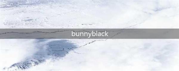 BunnyBlack3实用装备推荐(bunnyblack)