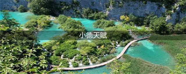 《魔兽世界怀旧服》小德天赋怎么加点 小德天赋加点攻略(小德天赋)