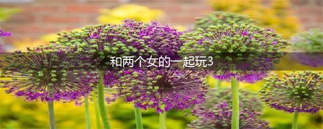2022适合两个人玩的生存类游戏有哪些 多人联机生存游戏推荐(和两个女的一起玩3)