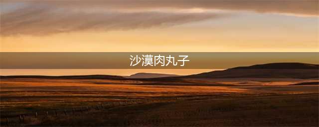 《魔兽世界怀旧服》沙漠肉丸子怎么获得 沙漠肉丸子获得方法介绍