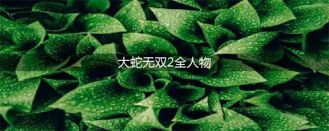 《无双大蛇2终极版》全人物解锁条件大全 武将解锁条件是什么