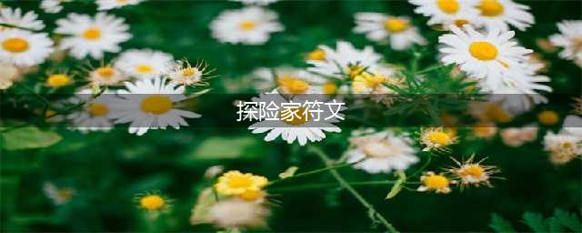 重生细胞探险家符文有什么用
