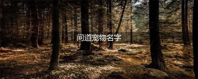 《问道》不能修改宠物名字怎么办 宠物名字不能修改解决办法一览(问道宠物名字)