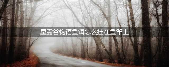 星露谷物语怎么把鱼饵放在鱼竿上 星露谷物语把鱼饵放在鱼竿上方法