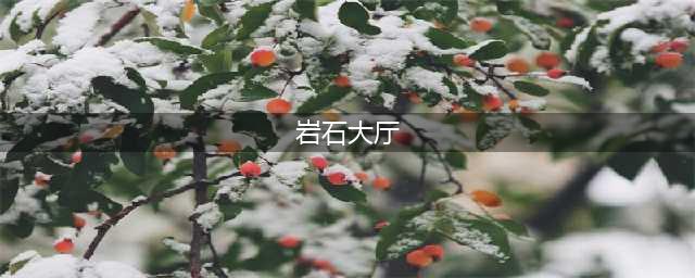 《魔兽世界》岩石大厅任务完成攻略