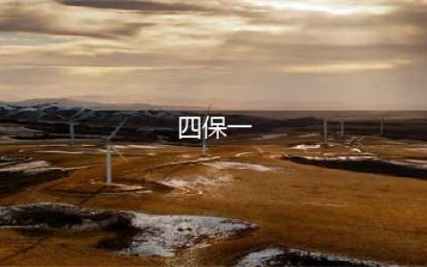 《决战平安京》四保一体系怎么玩 四保一体系玩法攻略(四保一)