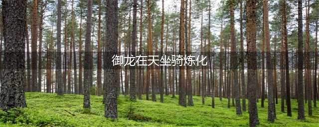 御龙在天手游坐骑炼化攻略 马匹属性提升详解(御龙在天坐骑炼化)