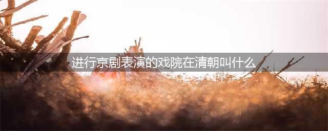 《唐门六道》答题答案大全 答题器答案汇总(进行京剧表演的戏院在清朝叫什么)