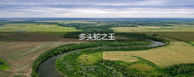 多头蛇之王在哪里(多头蛇之王)