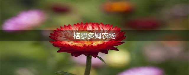 魔兽世界格罗多姆农场在哪
