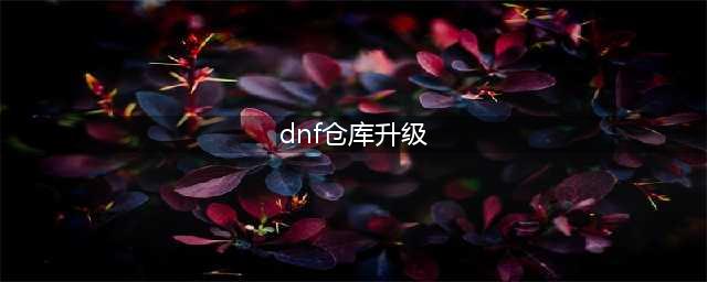 dnf仓库满级多少钱 仓库升级价格表2022(dnf仓库升级)