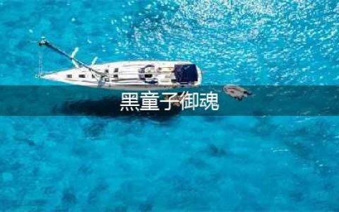 《阴阳师手游》黑童子御魂最强搭配攻略