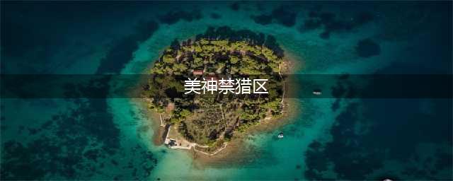 美神禁猎区破解版怎么下载 破解版下载安装教程(美神禁猎区)