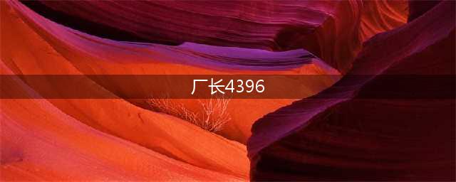 4396什么意思 S6厂长4396是什么梗(厂长4396)