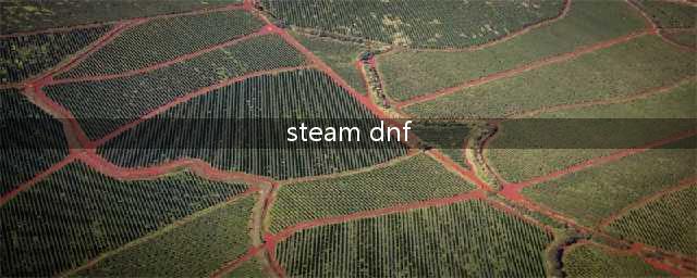 《DNF》如何在STEAM上玩DNF(steam dnf)