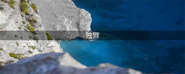 《Brotato》独臂怎么玩 独臂难度5通关打法思路