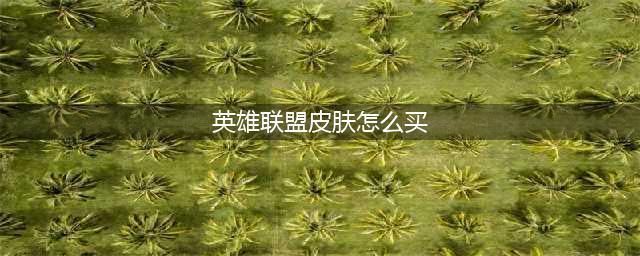 《英雄联盟》皮肤怎么买 皮肤购买方法分享(英雄联盟皮肤怎么买)