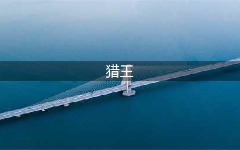 《忍者必须死3》猎王怎么升级 猎王升级方法介绍(猎王)