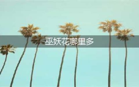《魔兽怀旧服》巫妖花采集位置详解(巫妖花哪里多)