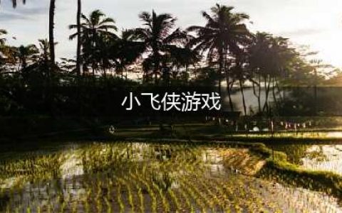 小飞侠游戏下载大全2021 热门的好玩小飞侠排行榜(小飞侠游戏)