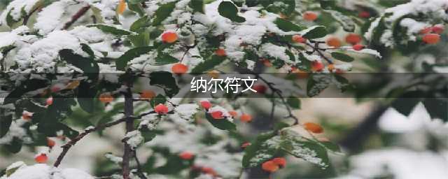 英雄联盟11.20迷失之牙怎么点符文 纳尔符文推荐(纳尔符文)