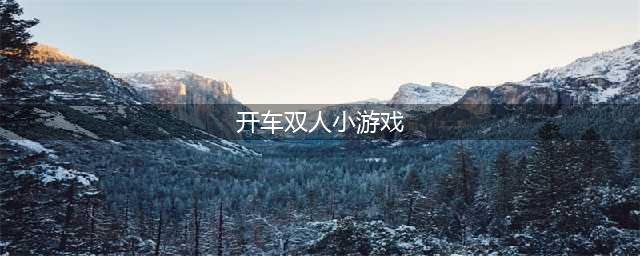 双人玩的小游戏有哪些2021 好玩的火爆双人小游戏排行榜推荐(开车双人小游戏)