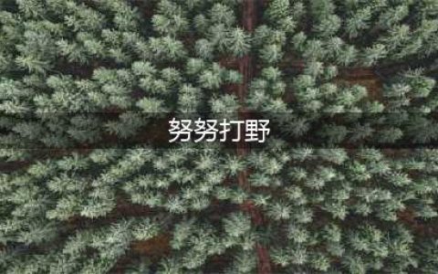 《英雄联盟》S11努努打野怎么玩 努努打野玩法全思路(努努打野)