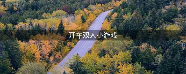 十大双人赛车游戏下载手机版2021 热门双人赛车游戏排行榜(开车双人小游戏)