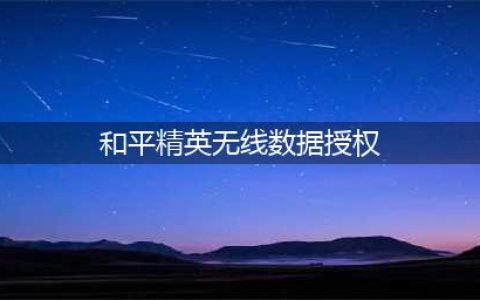 和平精英无线数据授权怎么设置 华为vivo无线数据授权设置方法(和平精英无线数据授权)