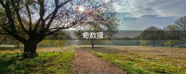 《炉石传说》奇数猎卡组怎么搭配 奇数猎卡组搭配分享(奇数猎)