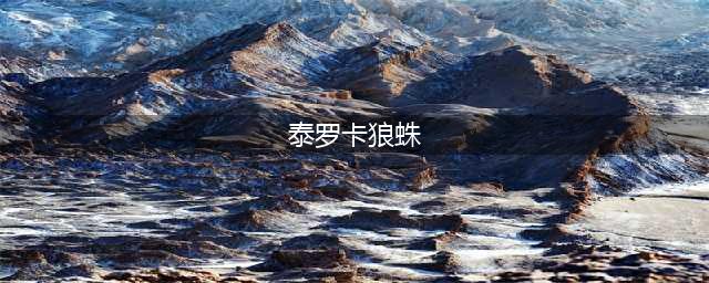 魔兽世界怀旧服泰罗卡狼蛛任务怎么做 泰罗卡狼蛛任务完成攻略(泰罗卡狼蛛)
