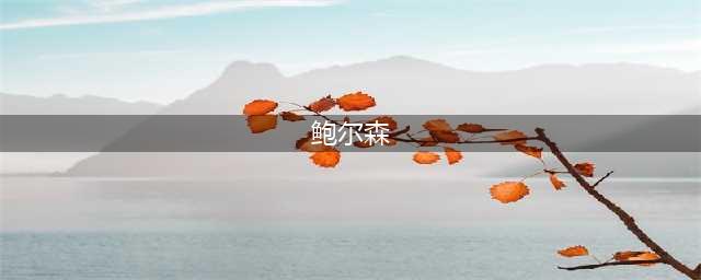 《最后的神迹》鲍尔森怎么样 鲍尔森人物属性一览(鲍尔森)