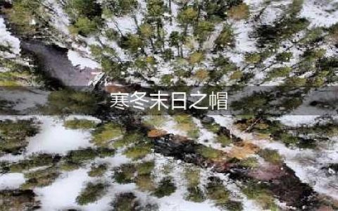 《英雄联盟》S12新装备末日寒冬属性(寒冬末日之帽)