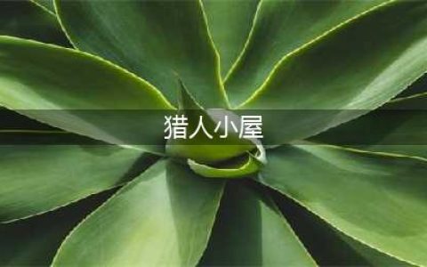 风来之国猎人小屋位置分享-风来之国猎人小屋在哪(猎人小屋)
