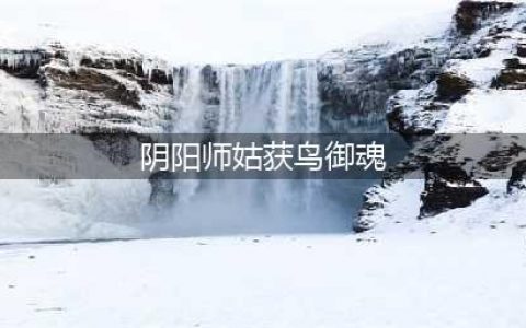 《阴阳师》姑获鸟带什么御魂 姑获鸟御魂搭配推荐(阴阳师姑获鸟御魂)