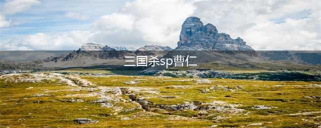 《三国杀》sp曹仁怎么样 sp曹仁技能属性一览(三国杀sp曹仁)
