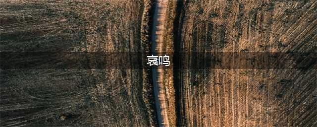 《太阁立志传5DX》痛苦哀鸣结局详细达成方法介绍(哀鸣)