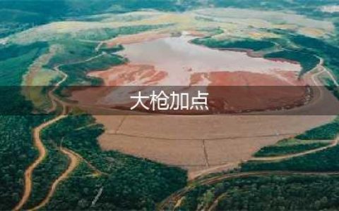 DNF110级男大枪怎么加点