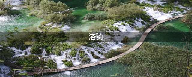 《艾尔登法环》洛骑位置及招式介绍 洛骑怎么打
