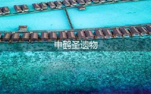 《原神》申鹤圣遗物哪个好 申鹤圣遗物选择建议