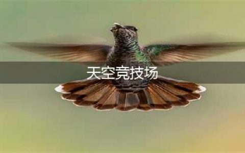 《创造与魔法》天空竞技场攻略 天空竞技场打法技巧分享(天空竞技场)