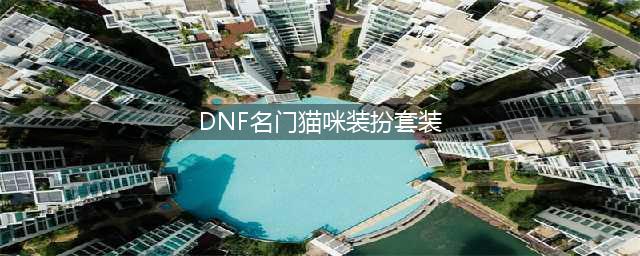 《dnf》猫咪名门套装效果一览