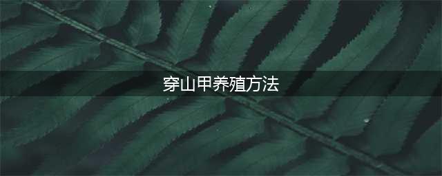 《动物园之星》怎么养穿山甲 养穿山甲的方法分享(穿山甲养殖方法)