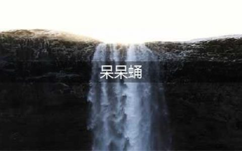 《赛尔号》手游10月31日更新了什么 更新内容一览(呆呆蛹)