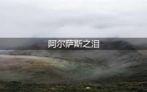 《魔兽世界》阿尔萨斯之泪怎么样 阿尔萨斯之泪介绍(阿尔萨斯之泪)
