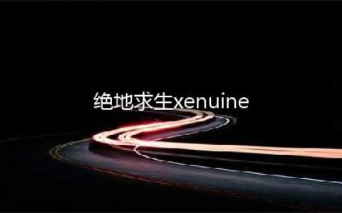 《绝地求生》国服出现xenuine什么意思 xenuine玩不了解决方法(绝地求生xenuine)