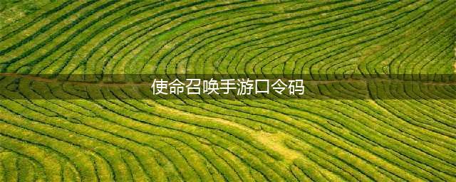 使命召唤手游口令码最新2023 使命召唤手游口令码汇总